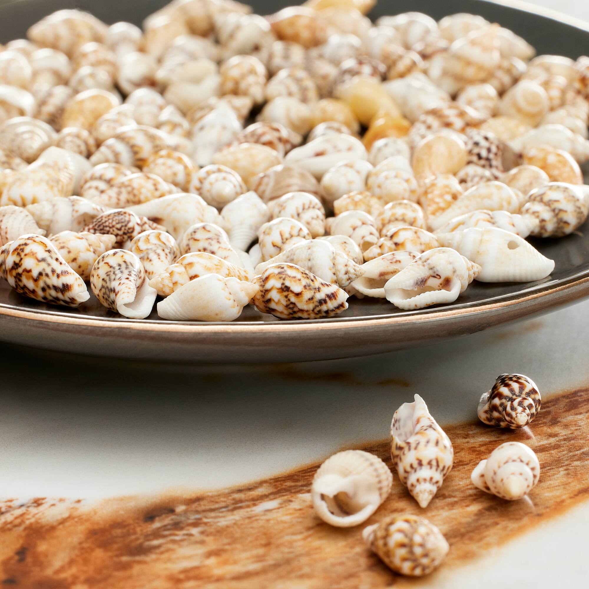 Shell Beads by Bead Landing™